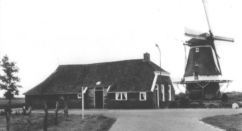 1956. Toen Uiterwijk Winkel nog molenaar was